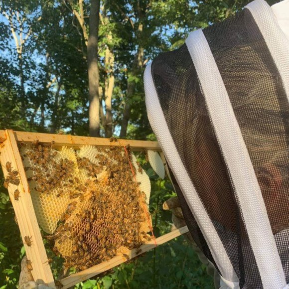 xx 3 Lip Balms Organic PEPPERMINT Hand Crafted NWT - Picture 9 of 11